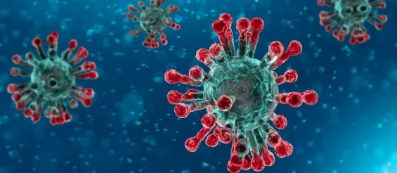 Corso Covid-19 e vaccinazione, il video dell’evento